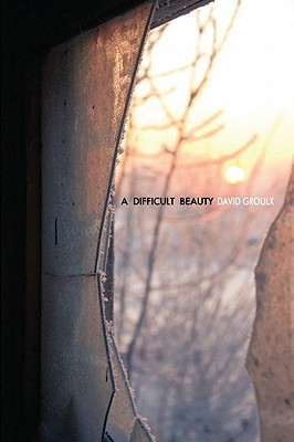 A Difficult Beauty book cover